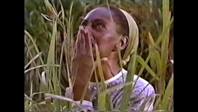 Nicole Kidman, Juliet Lewis, and African Subs Get Wild in a celeb orgy frenzy!